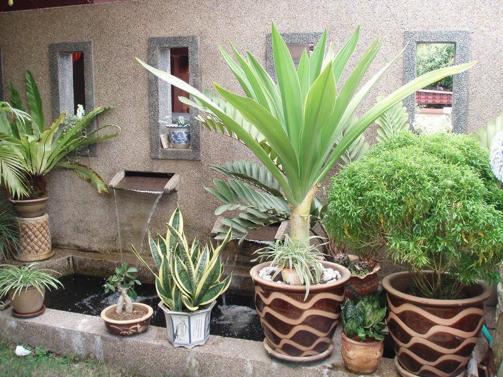 Garden Vacation Suite ベントン 部屋 写真